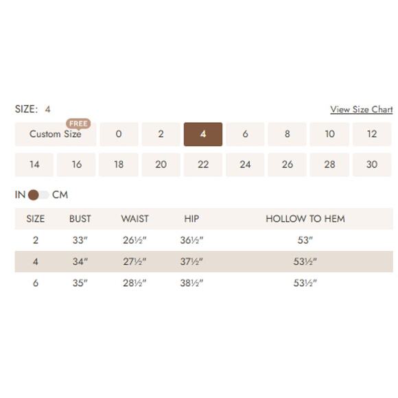 AW BRIDAL sz 4 S dusty blue chiffon Gwyneth bridesmaid maxi dress NEW B147 - Picture 4 of 4